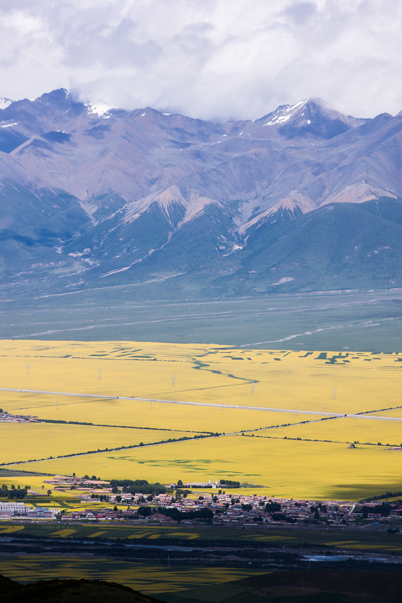青海深度游，地理、历史与文化的探索之旅