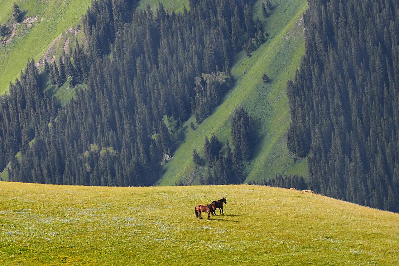 新疆,自然之吻的温柔邂逅